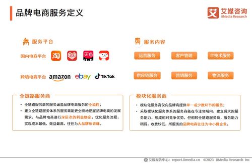 2023年中国品牌电商服务行业研究报告解读与信息咨询服务分析